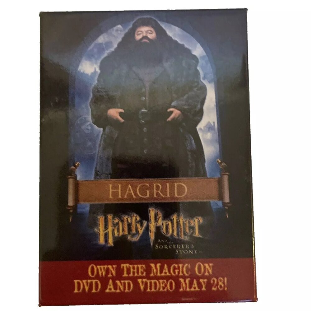 Hagrid Pinback Button Harry Potter and The Sorcerer 2002 Advertising DVD